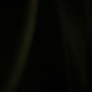 Meet your Posher, Flash